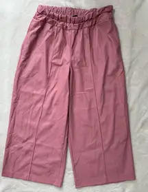 Express Pink Faux Leather, Elastic Waist Band, Wide Leg, Cropped Pants.