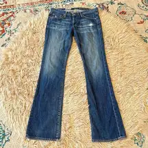 AG Adriano Goldschmied angel jeans size 29