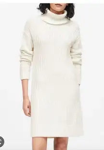 COPY - BNWT Banana Republic chunky knit turtleneck dress size M