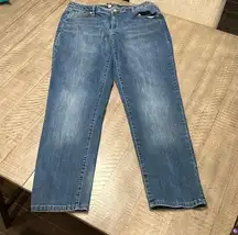 Lane Bryant Genius Fit straight leg jeans EUC