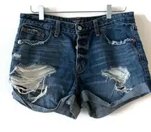 Abercrombie & Fitch Ames Low Rise Boyfriend Shorts Size 6