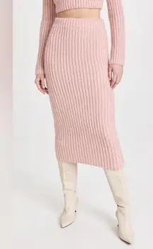 Endless Rose  Midi Knit Skirt