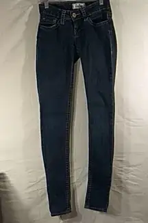 Daytrip Lynx Skinny Jeans Size 24L