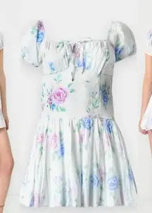 Hollister Sofia White Floral Drop Waist Bubble Skirt Mini Dress Women M New NWT