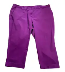 Womens Lands End Cop Purple Pants Slack Plus Size 28 u