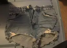 ZARA Shorts
