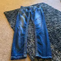 Daytrip lynx skinny jeans 27