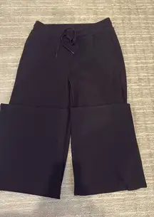 Aritzia HomeStretch Pants TNA