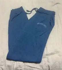 American eagle sweatpants