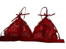 Avid Love Red Lace Floral Unlined, Sheer Lingerie Bralette Women  Large | 54-22