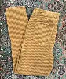 FINAL PRICE Indigo Rein Corduroy Skinny Pants