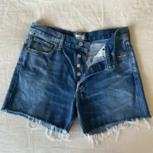 Citizens of Humanity Denim Shorts Women’s Size 27