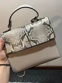 Dune Snakeskin Purse W/ Wallet