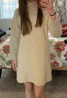 Sweater Dress