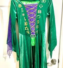 Hocus Pocus Winifred Sanderson Adult Costume Medium