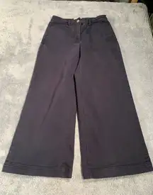 Everlane cropped Wide-Leg regular Pants