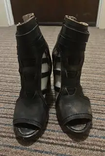 Freebird by Steven Heels