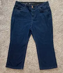 Lane Bryant Women’s Straight Leg Denim Blue Jeans High‎ Rise Plus Size 22 Short