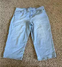 Gloria Vanderbilt Women's Light Blue Rail Straight Cropped Jeans Size 18