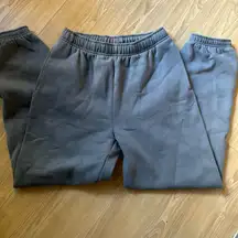 ARITIZIA MEGA FIT COZY FLEECE SWEATS