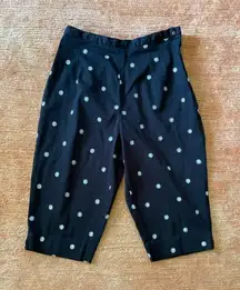 BRIGGS NEW YORK Wm's Capri Pants Black W/Embroidered Daisy Design Size 10P