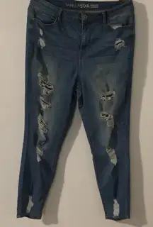 Vanilla Star Distressed Cropped Jeans - Blue