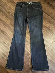 Idyllwind flared jeans 12