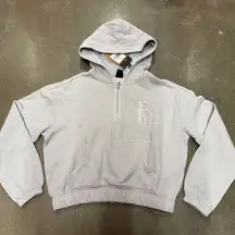 the north face women's hoodie
