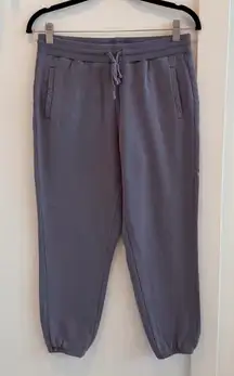 Barefoot Dreams Butter Fleece Grey Jogger Women's Petite Loungewear Size Small