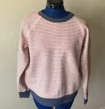 Alternative Earth Striped Crew Neck Sweatshirt