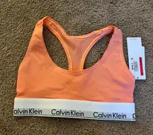 Sports Bra Bralette