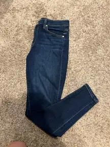 Seven For All Mankind Skinny Jeans