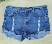 Distressed Shorts