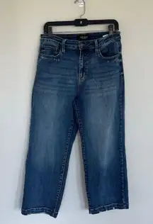 Judy Blue Women’s Denim Jeans Size 30 