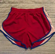 Nike Dri-Fit Tempo Athletic Shorts