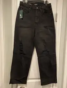 NWT Wild Fable Size 6 Highest Rise Straight Leg Black Distressed Jeans Raw Hem