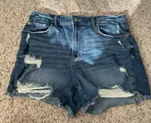 No Boundaries Jean Shorts