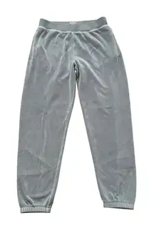 Sunday Best Aritzia light blue velour jogger sweatpants size S