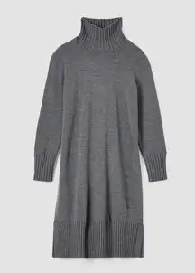 Eileen Fisher  Merino Jersey Turtleneck Dress in Regenerative Wool