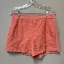 Skies Are Blue Women’s Stretchy Pastel Orange Embroidered Women's Shorts Medium