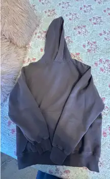 Aritzia Mega Raglan Cozy Fleece Hoodie