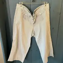 Gap “Limited Edition” White/Blue Striped Cropped Jeans | Women’s Size 14