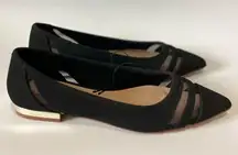 NWOT  Pointed Toe Ballerinas With Laser Cut Sz 6M