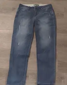 Wit & wisdom distressed jeans size 8