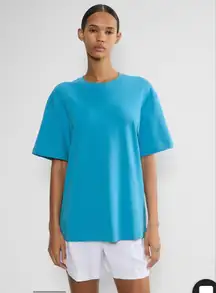 Aritzia Babton Top