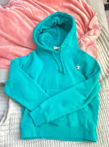 Reverse Weave Hoodie