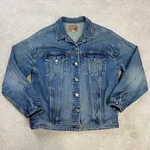 American Eagle Outfitters Denim Oversized Jacket Hand Painted Lion Size S