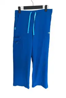 Carhartt Force Womens Petite small Scrub Pants In Bright Blue
