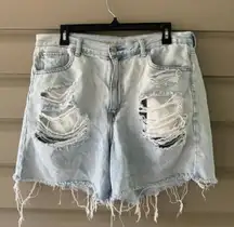 Outfitters Shorts