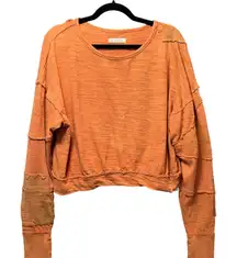 We The Free Free People 5 Star Oversized Patch Sweatshirt L Top Sweet‎ Cinnamon